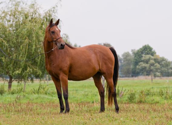 Freya, Bild Nr. 5