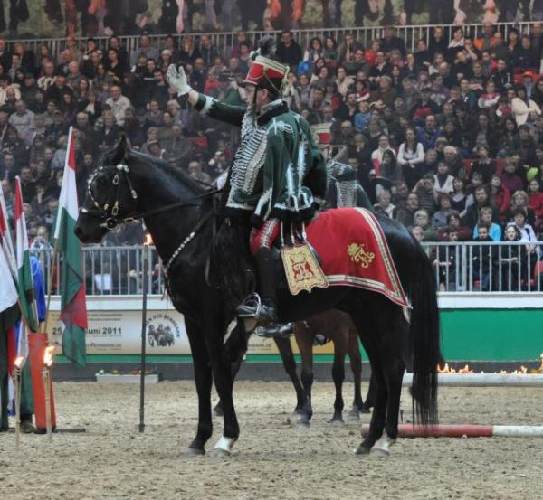 Milan (Rappe) / Shagya-Araber (CA-frei)*, Bild Nr. 5