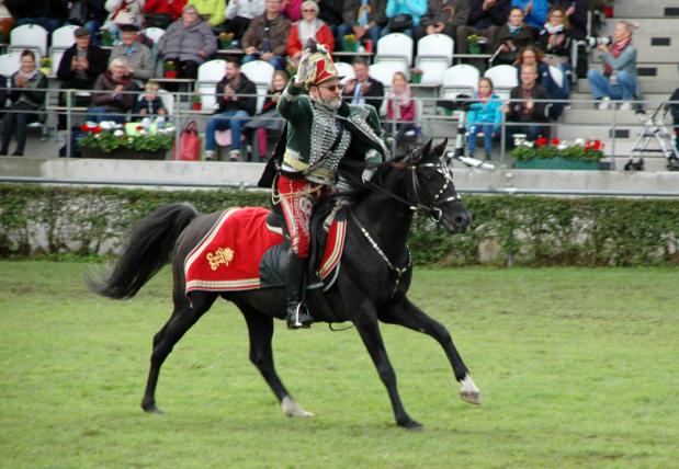 Milan (Rappe) / Shagya-Araber (CA-frei)*, Bild Nr. 12